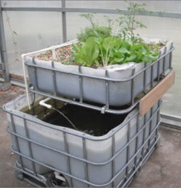 Kolam KPP 1000 L (2)